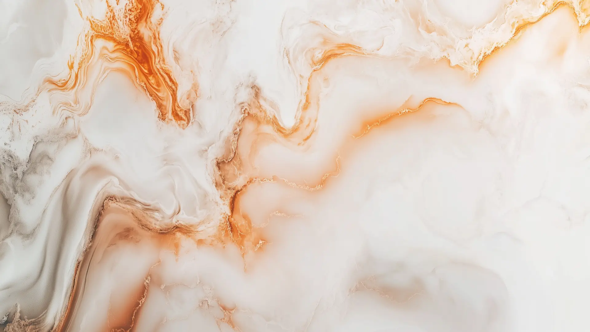 精选黑白极简图集-电脑端