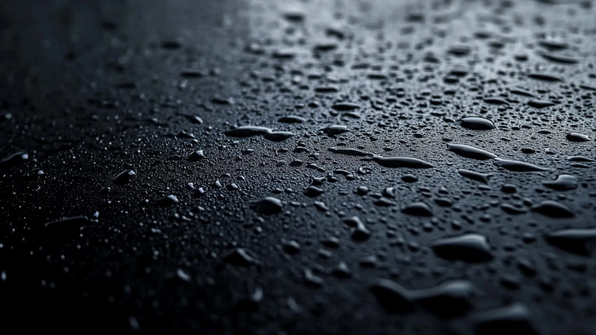 精选黑白极简图集-电脑端