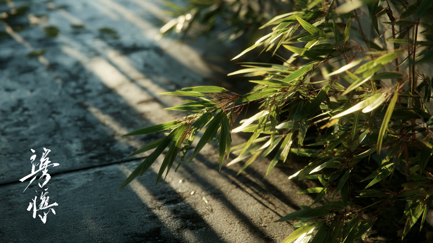 竹林小径水墨画壁纸 | 4K高清日式禅意自然光斑驳光影壁纸