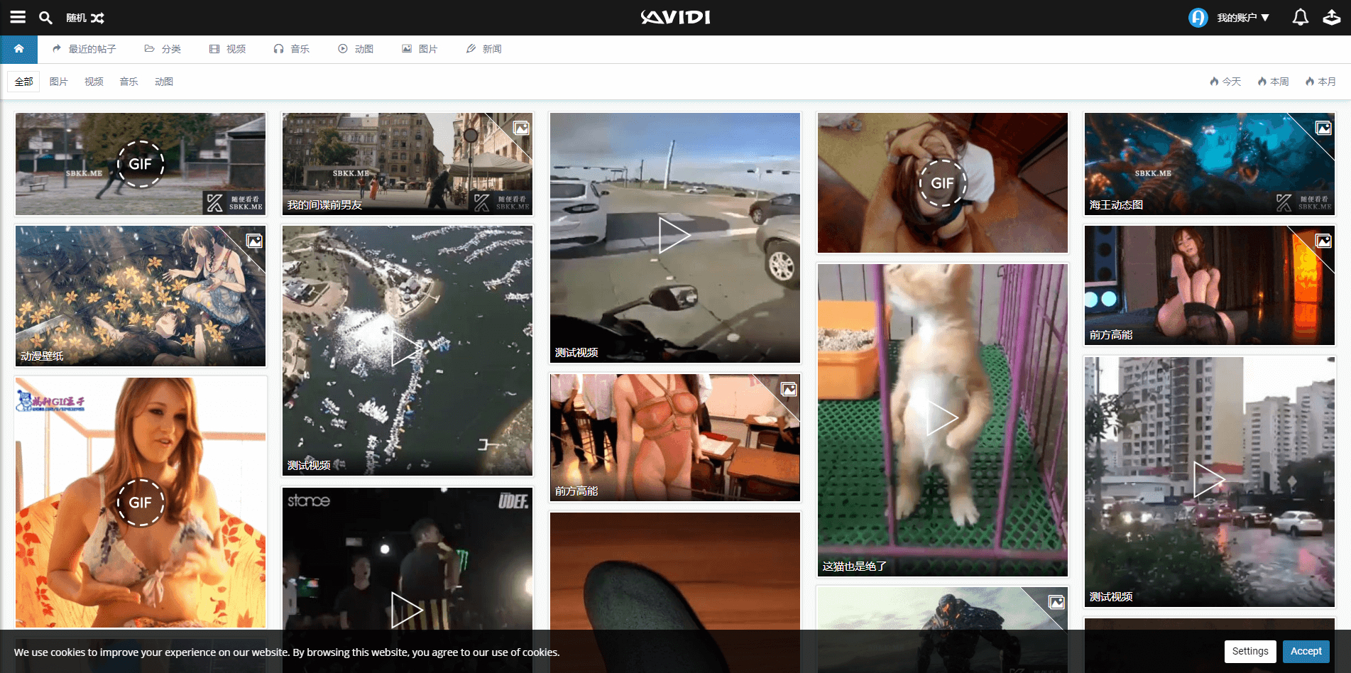 Avidi Media 1.7 – 专业的GIF动图视频图片音乐分享PHP源码（已完美汉化）