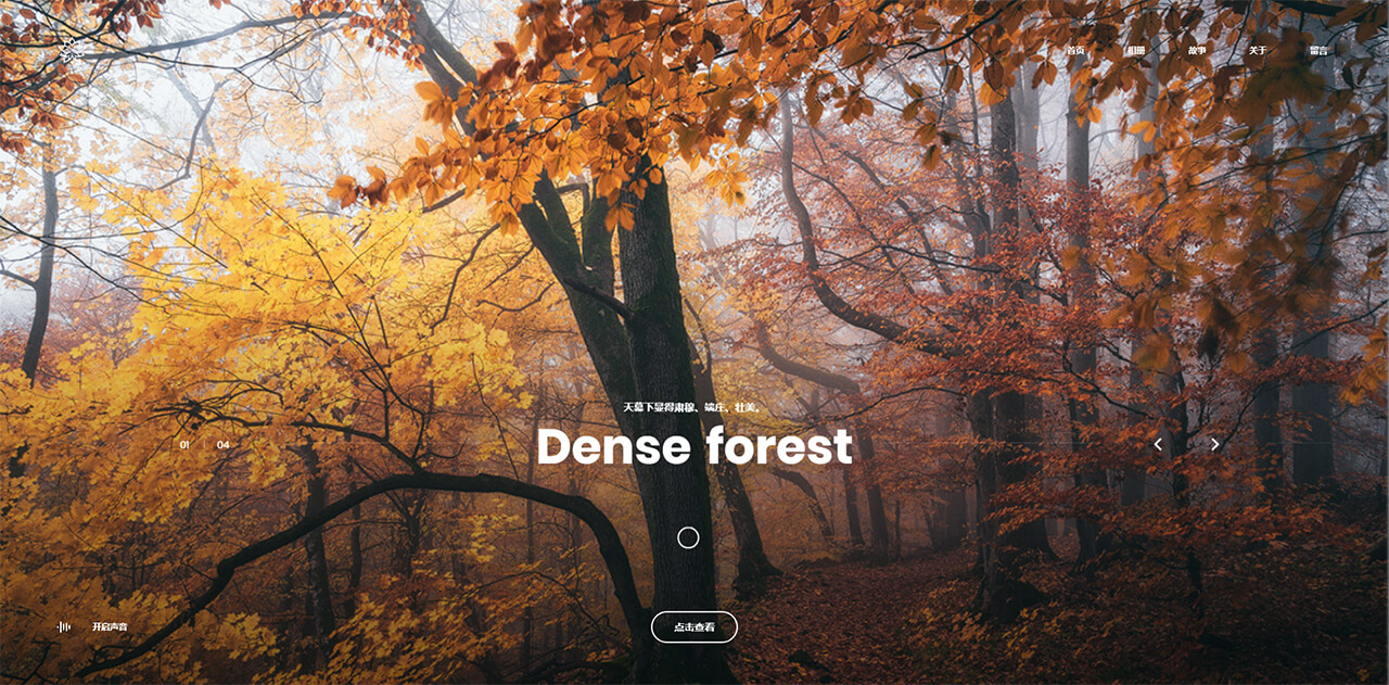 Satelite个人图像博客创新且优雅的WordPress主题