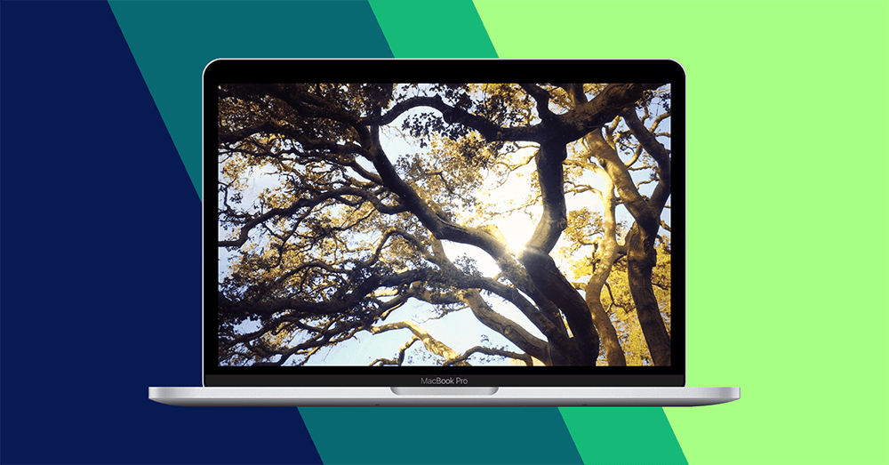 23款高质量的4K超清唯美梦幻森林 树林视频背景素材